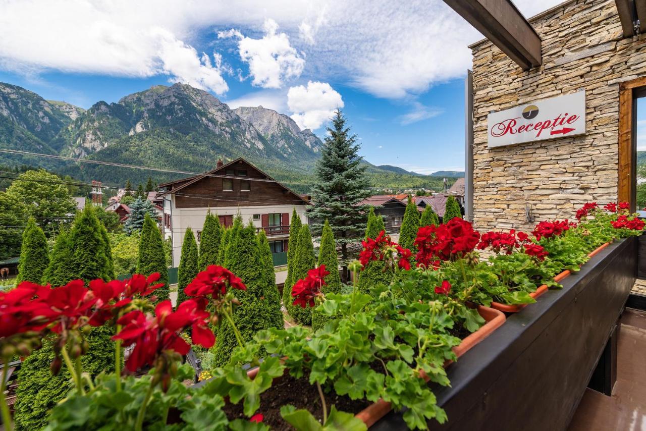 Hotel Casa Freya Buşteni Exterior foto